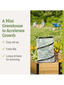 Pop-Up Tomato Accelerator 15 Pop-Up Tomato Accelerator -Gardening Supplies Store 8589749 feature 2