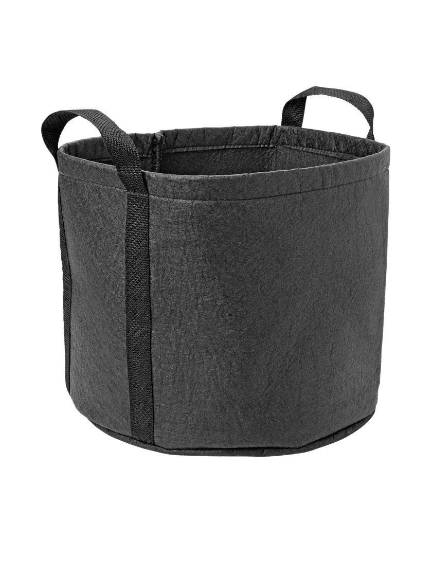 Hemp Grow Kit 6 Hemp Grow Kit - Image 4