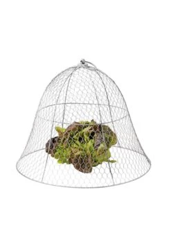 Chicken Wire Cloche -Gardening Supplies Store 8590210 675 tif
