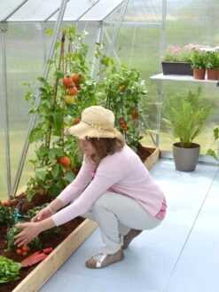 Canopia® By Palram Essence™ Greenhouse, 8' X 12' 18 Canopia® By Palram Essence™ Greenhouse, 8' X 12' -Gardening Supplies Store 8591356 04V tif