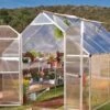 Canopia® By Palram Essence™ Greenhouse, 8' X 12' -Gardening Supplies Store 8591356 15V jpg