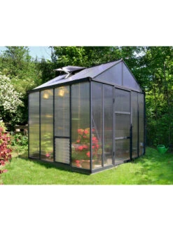 Canopia® By Palram Glory™ Greenhouse, 8' -Gardening Supplies Store 8591547 01v