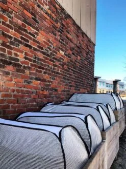 Row Shelter Accelerator -Gardening Supplies Store 8591990 01IN tif