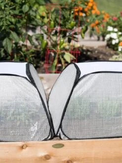 Row Shelter Accelerator -Gardening Supplies Store 8591990 2199 tif