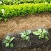 3-in-1 Chicken Wire Cloche -Gardening Supplies Store 8592117 5598 1 chicken wire cloche 3 in 1 tif