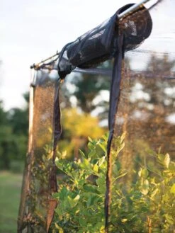 Storm Proof Crop Cage, Large -Gardening Supplies Store 8592463 115 tif