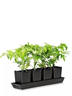 Pop-Out Pots, Set Of 4 -Gardening Supplies Store 8593943 1260 tif