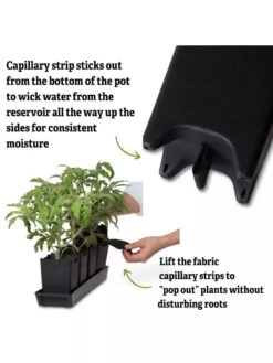 Pop-Out Pots, Set Of 4 -Gardening Supplies Store 8593943 3
