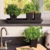 Pop-Out Pots, Set Of 4 -Gardening Supplies Store 8593943 4731 tif