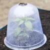 Large Garden Cloches, Set Of 3 -Gardening Supplies Store 8593984 345 tif