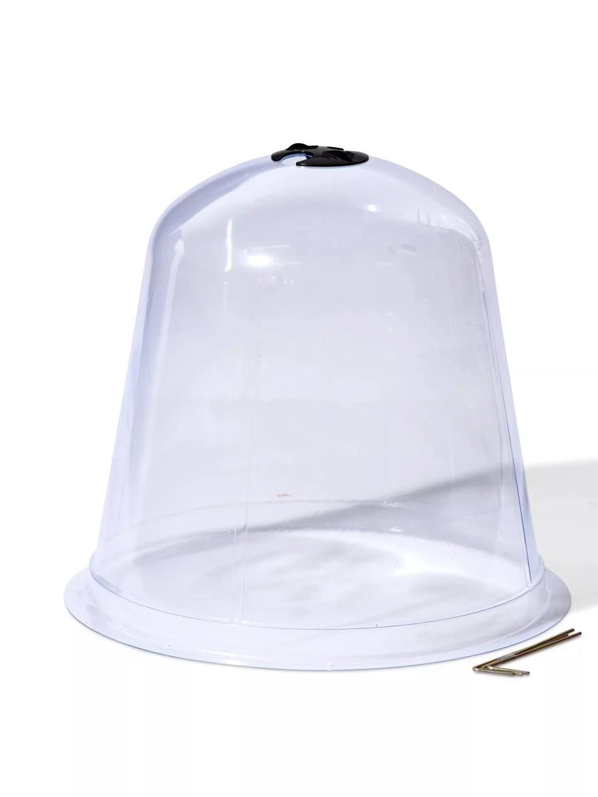 Large Garden Cloches, Set Of 3 4 Large Garden Cloches, Set Of 3 - Image 2