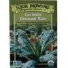 Lacinato Dino Kale Organic Seeds -Gardening Supplies Store 8594082 9241 tif