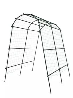 Titan Squash Tunnel -Gardening Supplies Store 8596276 3992 tif