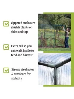 Crop Cage, 4' X 12' 10 Crop Cage, 4' X 12' -Gardening Supplies Store 8596540 4