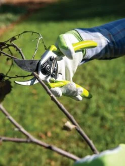 Gardener's Pro Pruner #2 9 Gardener's Pro Pruner #2 -Gardening Supplies Store 8596605 032 tif