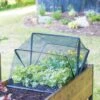 Pop-Up Bird Netting -Gardening Supplies Store 8596764 1505 tif