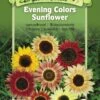 Evening Colors Sunflower Organic Seeds -Gardening Supplies Store 8598225 01V tif