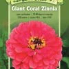 Giant Coral Zinnia Organic Seeds -Gardening Supplies Store 8598226 01V tif