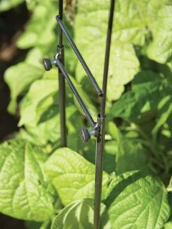 Adjustable Super Hoops, Set Of 3 -Gardening Supplies Store 8598301 0640 tif