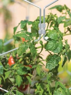 Gardener's Vertex Lifetime Tomato Cage 10 Gardener's Vertex Lifetime Tomato Cage -Gardening Supplies Store 8598426 0011 tif