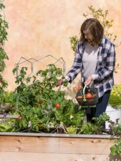 Gardener's Vertex Lifetime Tomato Cage 11 Gardener's Vertex Lifetime Tomato Cage -Gardening Supplies Store 8598426 0026 tif