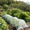 Insect Protection Tunnel 2 Insect Protection Tunnel -Gardening Supplies Store 8598536 8225 tif