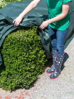 The Planket® Frost Protection Plant Cover, 10' X 20' -Gardening Supplies Store 8599101 0929 tif