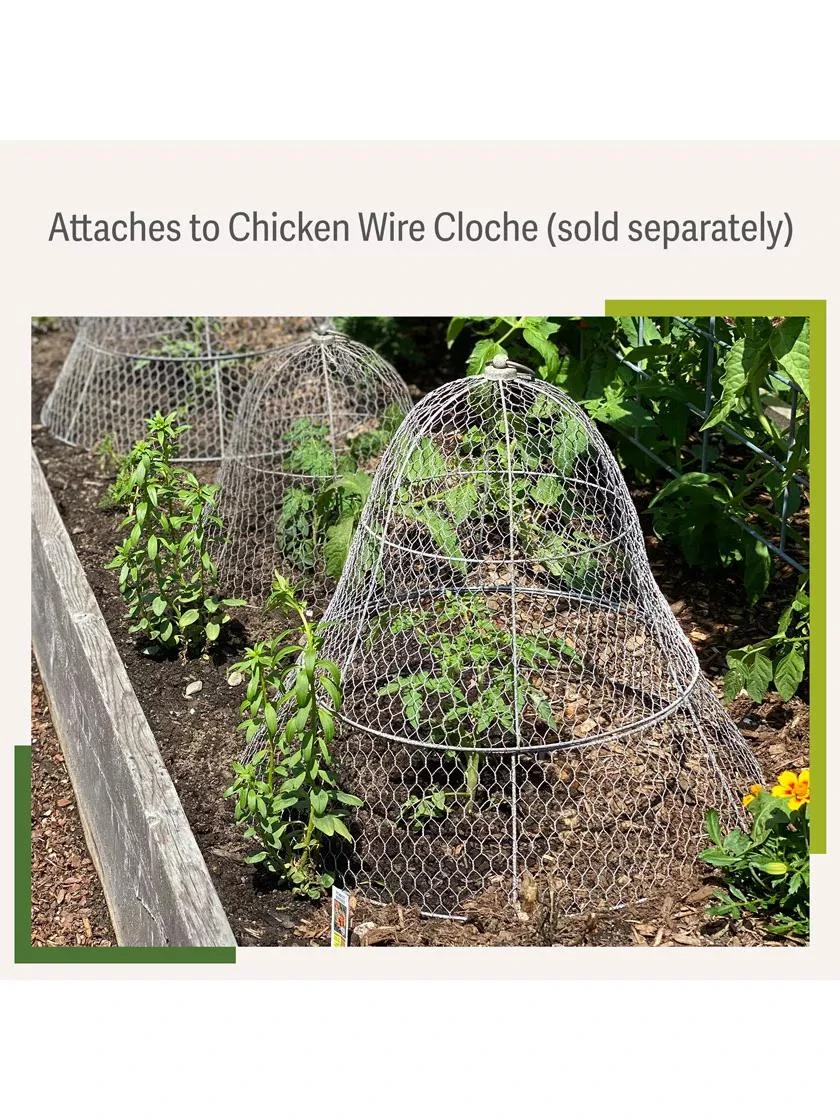 Chicken Wire Cloche Extension 6 Chicken Wire Cloche Extension - Image 4