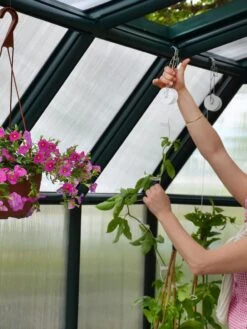 Canopia® By Palram Hobby Gardener Greenhouse, 8' -Gardening Supplies Store 8599331 04V tif