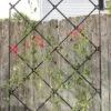 Achla Designs Freestanding Lattice Trellis 2 Achla Designs Freestanding Lattice Trellis -Gardening Supplies Store 8599475 01V tif