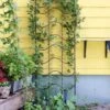 Achla Designs Waves Trellis -Gardening Supplies Store 8599491 01V tif