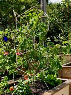 Gardener's Vertex Lifetime Pepper And Eggplant Cage -Gardening Supplies Store 8599554 01CUST tif