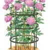 Titan Peony Supports, Large, Set Of 2 -Gardening Supplies Store 8599857 0001 art tif
