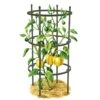 Titan Pepper Eggplant Cages, Set Of 3 1 Titan Pepper Eggplant Cages, Set Of 3 -Gardening Supplies Store 8599859 0001 art tif