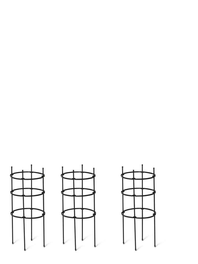 Titan Pepper Eggplant Cages, Set Of 3 4 Titan Pepper Eggplant Cages, Set Of 3 - Image 2