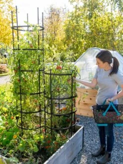 Titan Tomato Cages, Set Of 3 -Gardening Supplies Store 8599861 0114 tif