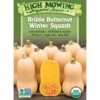 Brulee Butternut Squash Organic Seeds -Gardening Supplies Store 8599867 02v brulee butternut squash organic seeds