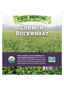 Common Buckwheat Organic Seeds 9 Common Buckwheat Organic Seeds -Gardening Supplies Store 8599871 04v