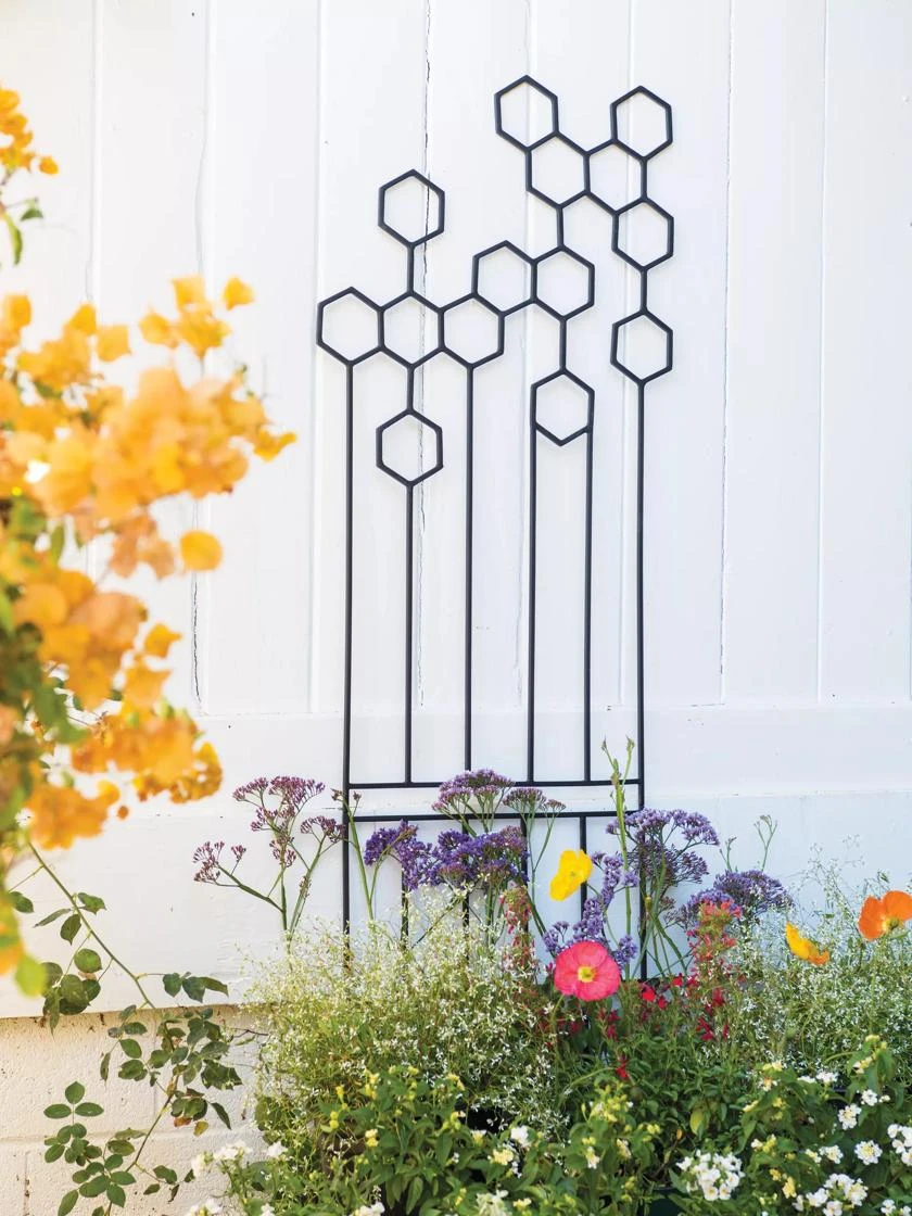 Honeycomb Trellis, Large 3 Honeycomb Trellis, Large