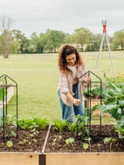 Zenith Folding Garden Supports, Set Of 2 -Gardening Supplies Store 8600073 324 tif