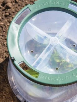 Sunny Forcing Cloches, Set Of 3 11 Sunny Forcing Cloches, Set Of 3 -Gardening Supplies Store 8600075 0742 tif