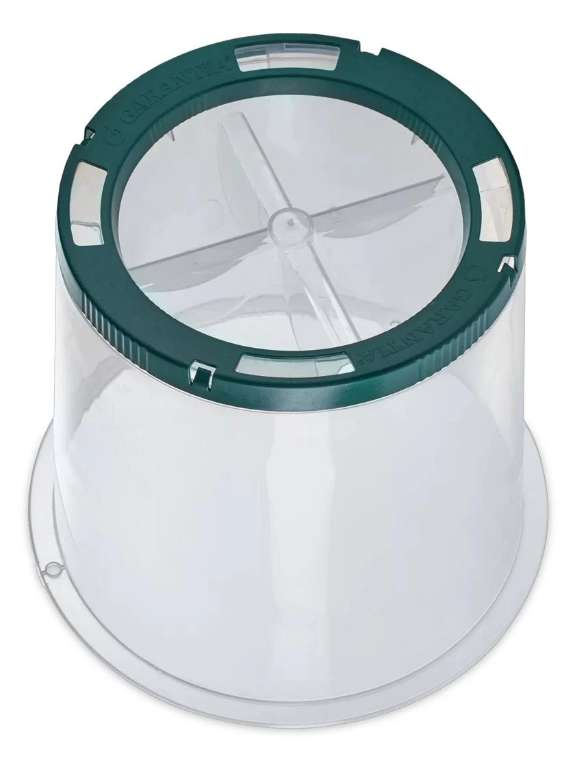 Sunny Forcing Cloches, Set Of 3 4 Sunny Forcing Cloches, Set Of 3 - Image 2