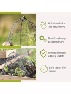 Chicken Wire Cloche With Extension -Gardening Supplies Store 8600116 3