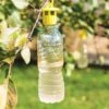 Bottle Insect Traps, Set Of 6 -Gardening Supplies Store 8600119 0532 tif