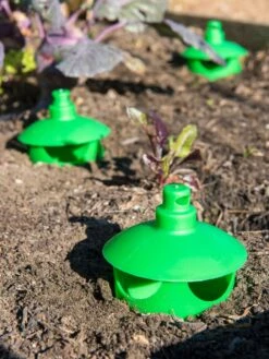 Slug And Snail Traps, Set Of 3 -Gardening Supplies Store 8600120 1788