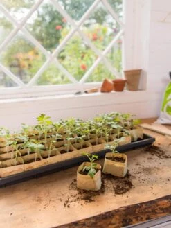 Paper Pots Starter Set -Gardening Supplies Store 8600273 0307 tif