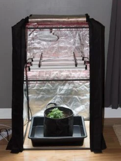 Hemp Grow Kit 14 Hemp Grow Kit -Gardening Supplies Store 8600301 0590 tif