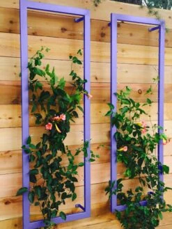 Ina Modern Wall Trellis Sr. -Gardening Supplies Store 8600510 07V tif