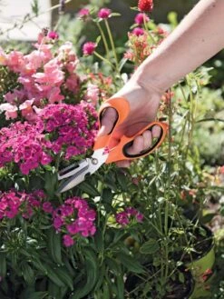 Gardener's Multi Purpose Scissors -Gardening Supplies Store 8608655 19551 tif