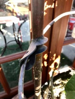 Garden Cane Connects, Set Of 6 8 Garden Cane Connects, Set Of 6 -Gardening Supplies Store 8609019 03V tif